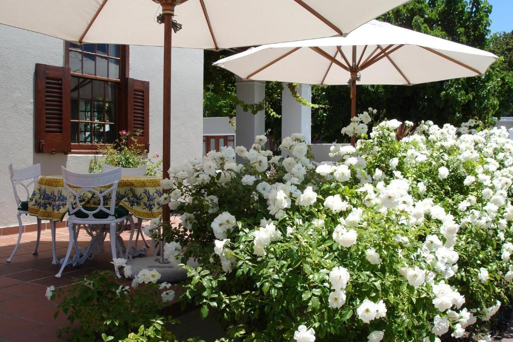 Glen Avon Lodge Boutique Hotel Cidade Do Cabo Exterior foto